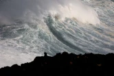 houle en bord de mer avec de grosses vagues