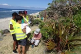 Kélonia - initiation des enfants à la reconnaissance des espèces végétales littorales