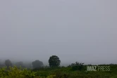 météo, brouillard