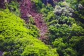 Route du Littoral purge falaise 16 janvier 2022