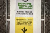 Affiches Extinction Rebellion