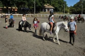 chevaux, centres équestres, air france cargo, coronavirus, covid-19, transports, actualité de la réunion