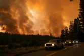 Une forêt recouverte par le feu de l'incendie "Oak Fire", dans le comté de Mariposa en Californie le 23 juillet 2022
