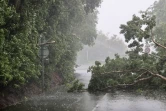 cyclone intense Batsirai 3 février 2022 ilet quinquina