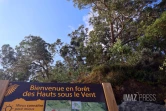 route forestière des tamarins RF9