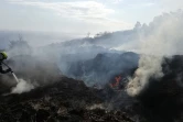 Les Avirons: Incendie la lisière de la forêt domaniale 