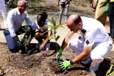 Saint-Denis : 500 arbres plantés grâce au "plan un million d'arbres" 