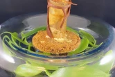 Le réunnionnais Julien Leveneur remporte la finale régionale du Dessert 