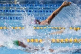  Natation championnat de la réunion bassin 25 mètres 