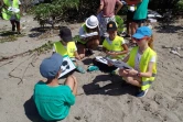 Kélonia - initiation des enfants à la reconnaissance des espèces végétales littorales