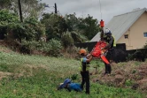 Sainte-Marie : une gramoun de 71 secourue après être tombée dans une ravine gendarmerie