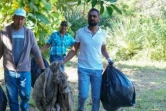 Saint-Benoît : 19 mètres cubes de déchets ramassés par l'association Réunionnais Volontaires