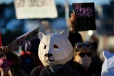 Des manifestants grimés en ours polaires, en otaries ou en carnavaliers vénitiens rassemblés à Douarnenez pour protester contre les bateaux de croisière, le 8 octobre 2023 dans le Finistère