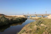 Le marais de Wadi Gaza que les autorités locales veulent transformer  en premier parc naturel de l'enclave palestinienne, le 9 février 2022