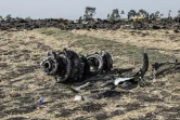Des débris du Boeing 737 MAX 8 qui s'est écrasé le 10 mars à l'est d'Addis Abeba