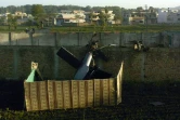 Une photo d'un hélicoptère militaire abattu  prise le 2 mai 2011 près de l'endroit où se cachait Oussama Ben Laden à Abbottabad, au Pakistan
