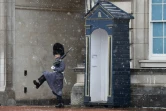 Une sentinelle des gardes écossais sous la neige à Buckingham Palace, à Londres (Royaume-Uni) le 9 février 2021.