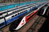 Des TGV stationnés à la Gare de Lyon, le 8 avril 2020
