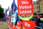 Des manifestants en faveur du Brexit devant le Parlement à Londres le 9 septembre 2019