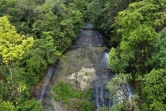 Vue aérienne de la réserve indigène El Gran Sabalo, près d'El Diviso, dans le département du Narino, en Colombie, le 31 août 2024