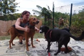 Dominique Janin-Coste aide les chiens qu'elle trouve du mieux qu'elle peut.