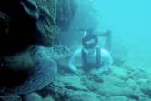 Deux tortues ont été victimes des fils de pêche (photo Kélonia)