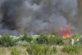 Le feu fait rage à Vauvert (Gard) dans le secteur où s'est écrasé un bombardier d'eau, le 2 août 2019