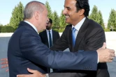 Le président turc Recep Tayyip Erdogan reçoit l'émir du Qatar, Cheikh Tamim ben Hamad Al-Thani