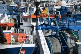 Au printemps, nouveau coup de colère, cette fois des marins de Boulogne-sur-Mer, premier port de pêche français, après la décision britannique d'interdire le chalutage de fond dans 13 zones marines protégées