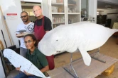 Jeudi 9 Aout 2012
Présentation du  dugong par Jack Thiney et Sonia  Ribes