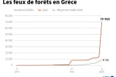 Les feux de forêts en Grèce