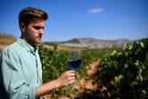 Aritz Lopez, l'un des fondateurs de Gik Live!, tient un verre du vin bleu produit par son entreprise, le 13 septembre 2018 à Maluenda, en Espagne