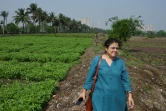 La chercheuse Dhruba Das Gupta traverse un champ cultivé dans les zones humides à l'est de Calcutta, le 21 mars 2023 en Inde