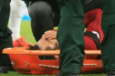 Mohamed Salah, l'attaquant star de Liverpool, est évacué sur civière lors du match contre Newcastle, le 4 mai 2019 à Newcastle-upon-Tyne
