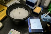 La professeure Monica Trujillo réalise un test PCR pour détecter la polio dans un échantillon, le 25 août 2022 à New York