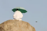 Un drone de surveillance survole le mont Arafat, le 5 juin 2025