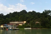 Vue sur l'île de Barro Colorado, sur le canal de Panama, devenue un véritable laboratoire de biologie tropicale, le 23 novembre 2015