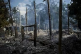 Des maisons incendiées dans un village à Warpait, dans l'Etat Rakhine, le 14 octobre 2016 en Birmanie