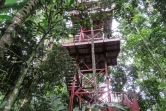 Le jardin botanique de Alberto Gomez à Quindio, le 6 juillet 2020