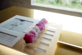 Les différentes variétés de roses cultivées au Domaine de la Rose, propriété de Lancôme, le 26 mai 2025 à Grasse, dans le sud de la France