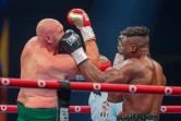 Combat entre le Britannique Tyson Fury (gauche) et le Camerounais Francis Ngannou, le 29 octobre 2023 à Ryad