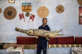 Mamdouh Hassan porte un crocodile empaillé dans sa maison située dans le village égyptien Gharb Soheil (sud), le 3 février 2020