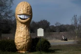 Une statue de cacahuète avec le sourire de Jimmy Carter à Plains (Géorgie), le 20 février 2023 