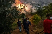 Incendie dans la région d'Abrantes au Portugal, le 10 août 2017