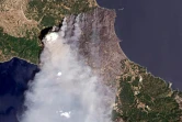 Vue aérienne des feux en Grèce, sur l'île d'Eubée, le 7 août 2021