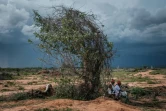 Des chefs religieux locaux se rendent dans la forêt de Shakahola, où des dizaines de membres d'une secte sont morts en jeûnant, près de Malindi, le 24 avril 2023 au Kenya
