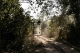 Un militaire sénégalais marche le long d'une piste de la forêt de Blaze, en Casamance, le 9 février 2021
