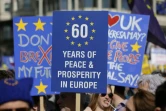 Pancartes brandies lors de la manifestation anti-Brexit à Londres, le 25 mars 2017