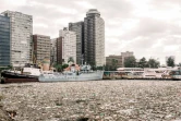 Le port de Durban, en Afrique du sud, jonché de détritus, le 28 avril 2019