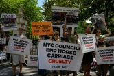 Manifestation contre la "cruauté" des calèches à cheval, le 11 août 2022 à New York